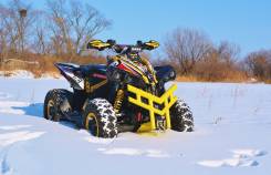 BRP Can-Am Renegade 1000 XXC, 2012 