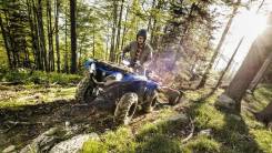 Yamaha Grizzly 700, 2016 