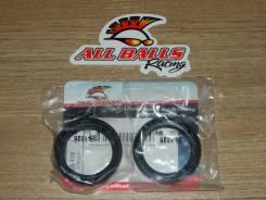 All Balls Racing 55-119 -   41x54x11 