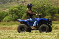 Yamaha Grizzly 125, 2012 