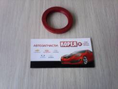 Сальник распредвала передний в Новосибирске Сальник распредвала. Chevrolet: Lacetti, Tacuma, Lanos, Captiva, Epica, Nubira, Aveo, Evanda, Rezzo, Cruze Daewoo: Nubira, Nexia, Tacuma, Kalos, Sens...