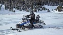 Arctic Cat Bearcat 2000 XT, 2016 