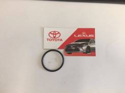 Прокладка фльтра акпп в Новосибирске Прокладка фильтра акпп. Toyota: Windom, Platz, Aurion, Ipsum, Avensis, Corolla, Probox, Raum, Vista, Caldina, Tarago, Vista Ardeo, Voltz, Succeed, Cor...
