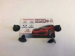 Клипса автомобильная в Новосибирске Клипса. Chevrolet Cobalt L61, LAP, LE5, LNF, LSJ