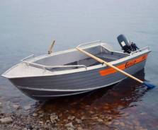 Катер "Wellboat-42" в Бийске Wellboat. 2018 год год, длина 4,20 м., бензин