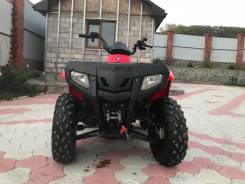 Polaris Sportsman 400, 2009 