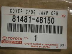 Очки противотуманки Lexus RX350, GGL15, 8148148150, 419-0000208, правый передний во Владивостоке Очки противотуманки LEXUS RX350, GGL15, 8148148150, 419-0000208