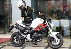 Ducati Monster, 2021 