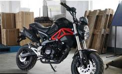 Ducati Monster, 2021 