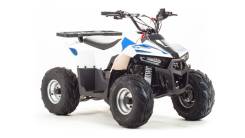 Motoland ATV 110 EAGLE, 2020 