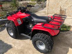 Honda TRX 250, 2002 