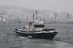 ������ ������ ����