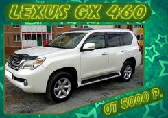  , Lexus GX460 2010   8000 /. 