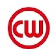 Фильтр трансмиссии Cob-web SF246, 11246001 в Комсомольске-на-Амуре Фильтр автомата. Mazda: Bongo Brawny, Proceed, Eunos Cosmo, Sentia, Efini MS-9, Eunos Cargo, J100, RX-7, Savanna RX-7, Bongo, MPV, Bongo Friendee, J80...