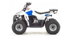 Motoland ATV 110 Eagle, 2020 