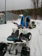 Suzuki Quadsport, 2008