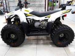 Stels ATV 100RS, 2017 