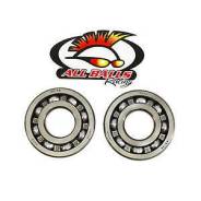   24-1033 All Balls Racing TTR250 93-06 