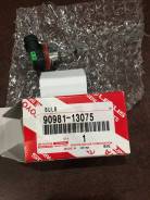 9 0981-13075 Лампа головного освещения 12V 55W (H11) Toyota в Хабаровске 9 0981-13075 Лампа головного освещения 12V 55W (H11) Toyota. Lexus: HS250h, RX330, GS350, GX400, LX460, ES300, LX450d, ES300h, CT200h, RX450h, IS350...