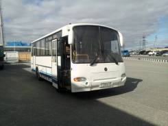 ПАЗ 4230-02, 2007 в Тюмени ПАЗ 4230-02. Паз 4230-02 Дизель аврора 29 (54) мест, 29 мест
