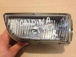 Противотуманная фара ( туманка ) на Toyota Caldina ST190 в Хабаровске Фара противотуманная. Toyota Caldina, CT196, CT198V, ET196, ST190, ST191, CT196V, CT190G, CT199V, AT191G, ET196V, ST195G, ST198V, ST190G, ST191G, CT19...