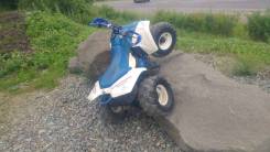 Suzuki Quadsport 80, 1995