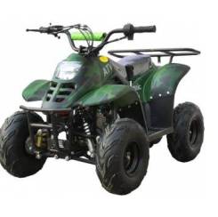 Avantis ATV Classic 6, 2020 