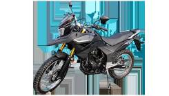 Racer Ranger RC250-GY8, 2019 