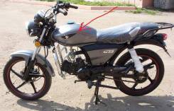     gs110 