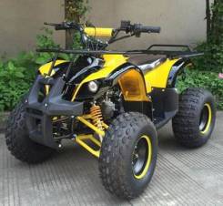 Avantis ATV Classic 8, 2019 