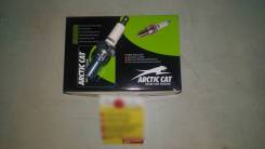   Arctic Cat BR9ES   