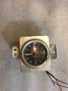 ���� ����