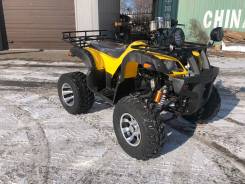  Tiger Sport 250  , 2020 