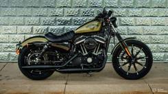 harley davidson iron 883 green