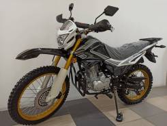 Regulmoto SK 250GY-5, 2019 