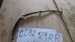    Honda CBR900RR CBR929RR SC44 SC44E mcj 