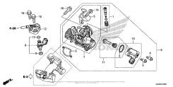     Honda AA05, AF74, AF75  