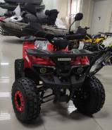 Avantis ATV Classic 8+, 2021 