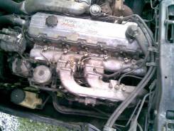  P11CT 
