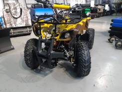 Avantis ATV Classic E, 2021 