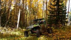 Polaris Ranger RZR S 800, 2008 