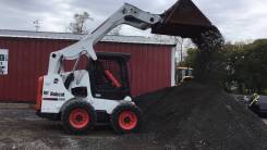    Bobcat 