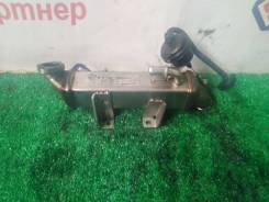  egr Nissan X-Trail 2008 DNT31 M9R 