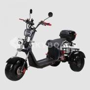 Skyboard Trike BR40-3000 PRO, 2021 