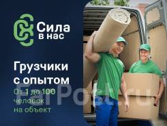 ��������, ������������. ��������. �� 250 �/�. ���������� ���������. ����