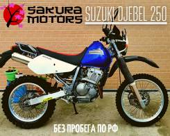 Suzuki Djebel 250, 2007 