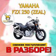 Yamaha FZX 250 Zeal   