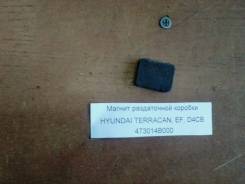    Hyundai Hyundai Terracan 