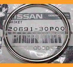   Nissan Nissan 2069130P00 
