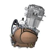  ZS165FMM (CB250D-G) 2233 